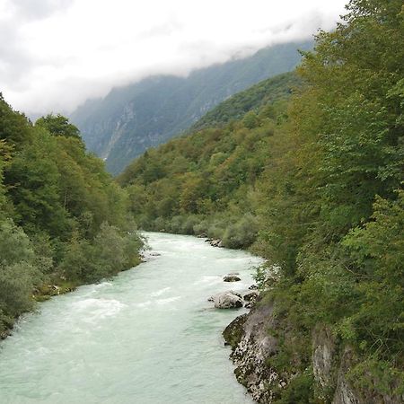 Apartment House Cviter Bovec Εξωτερικό φωτογραφία