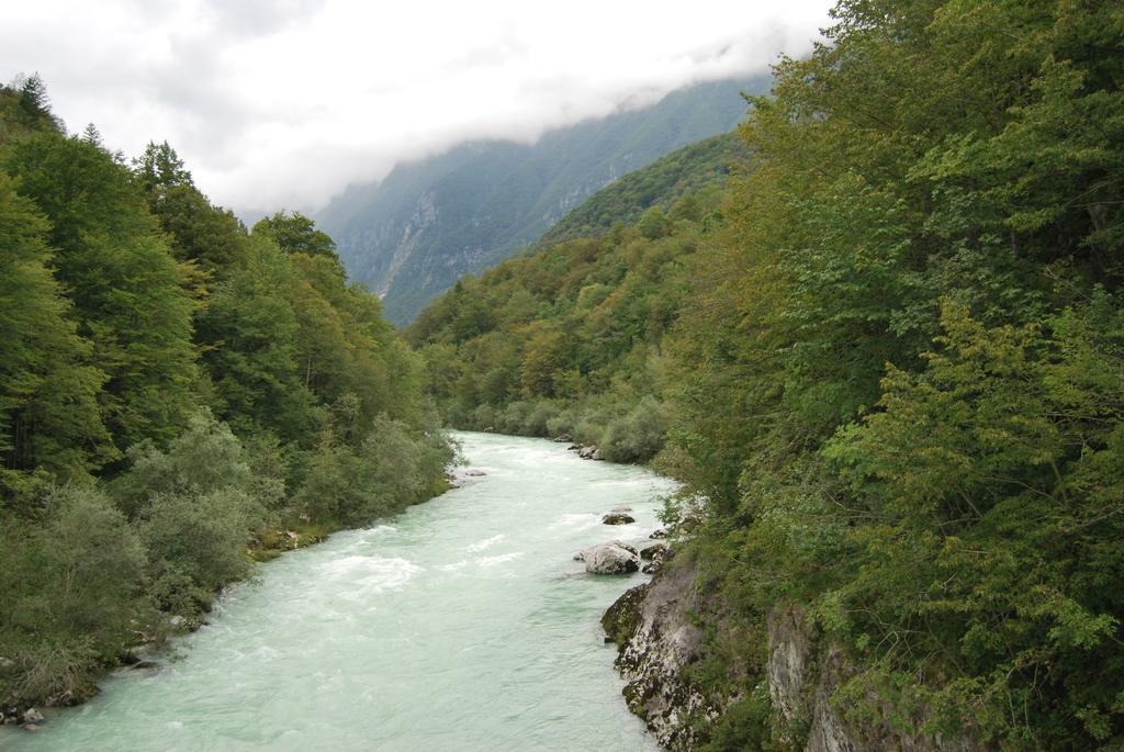 Apartment House Cviter Bovec Εξωτερικό φωτογραφία